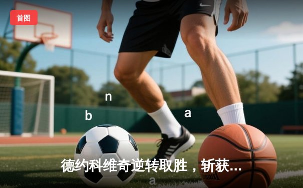 德约科维奇逆转取胜，斩获个人第24座大满贯冠军