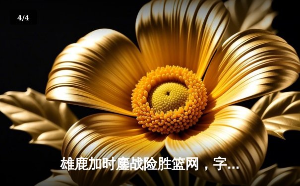 雄鹿加时鏖战险胜篮网，字母哥44分主宰关键时刻 - 4